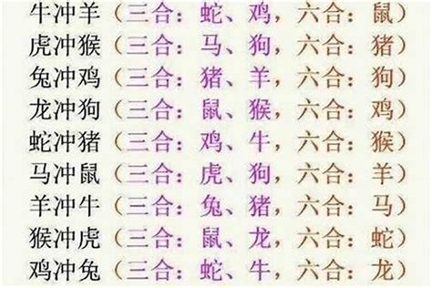 虎狗三合|十二生肖三合、六合、相冲详解